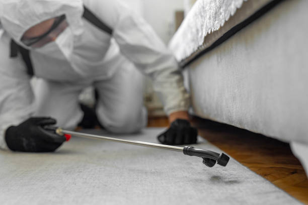 Professional Ant Control technician working in Mission Canyon, CA