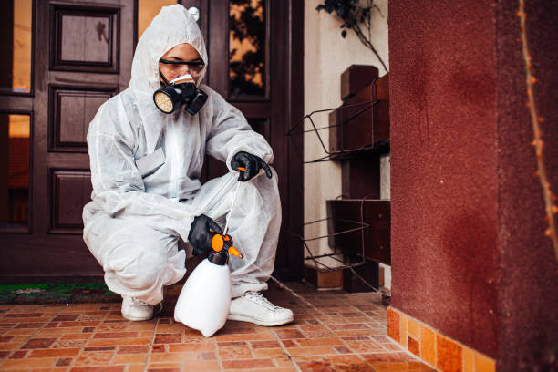 Reliable Ant Control contractor in Mission Canyon, CA by Nex Pest Control
