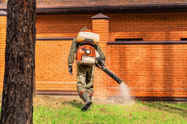 Trusted Mosquito Control service in Mission Canyon, CA - Nex Pest Control